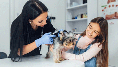 Medical Sterilizer in India